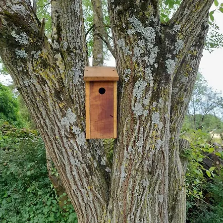 Maison De Caractere O Naturel
